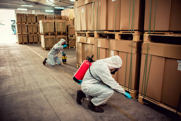 Best Mosquito Control Services  in Wagner, SD