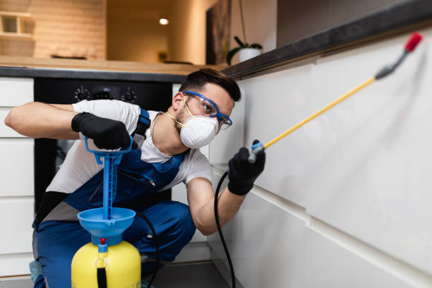 Best Mosquito Control Services  in Wagner, SD