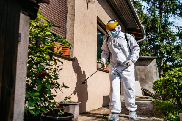 Best Best Pest Control Companies  in Wagner, SD