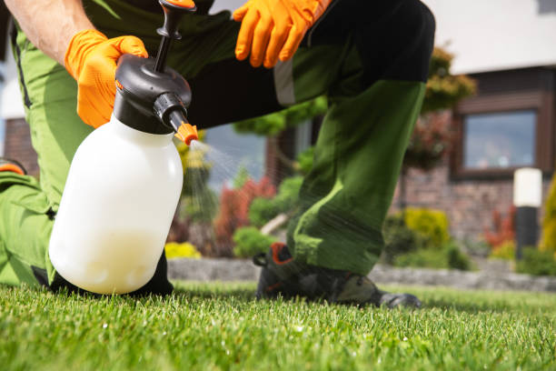 Best Best Pest Control Companies  in Wagner, SD