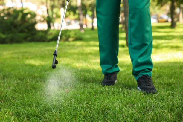 Best Residential Pest Control  in Wagner, SD