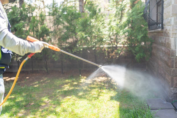 Best Affordable Pest Control Services  in Wagner, SD