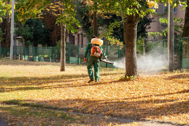 Best Affordable Pest Control Services  in Wagner, SD