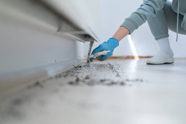 Professional Pest Control in Wagner, SD