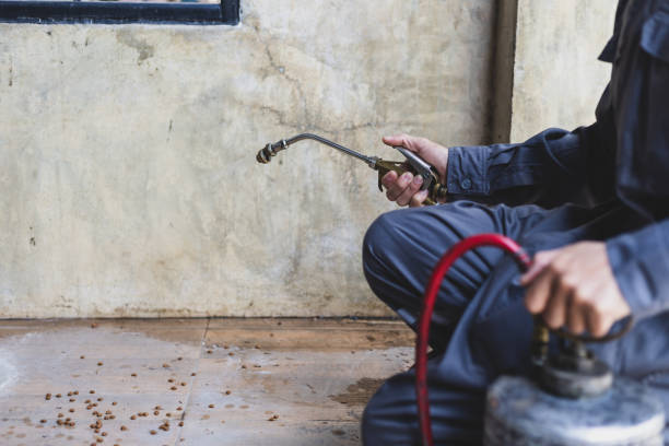 Best Flea Control Services  in Wagner, SD